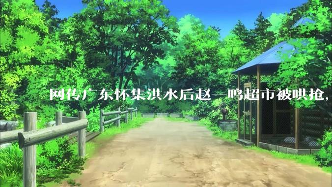 网传广东怀集洪水后赵一鸣超市被哄抢，县***回应相关单位正在核实，若属实哄抢者该承担哪些法律责任？