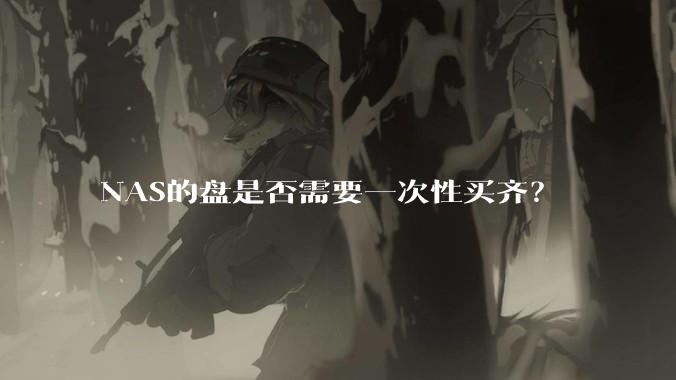 NAS的盘是否需要一次性买齐？