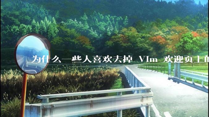 为什么一些人喜欢去掉 Vim 欢迎页上的“帮助乌干达的可怜儿童”？